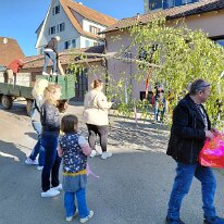Maibaum 1